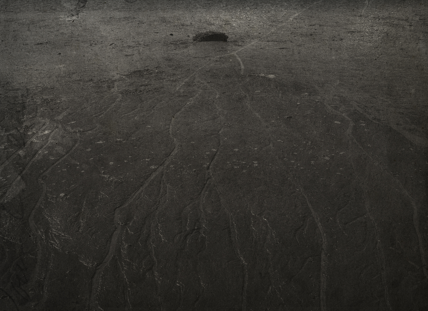 Les Voix-Calo Alessandra-003