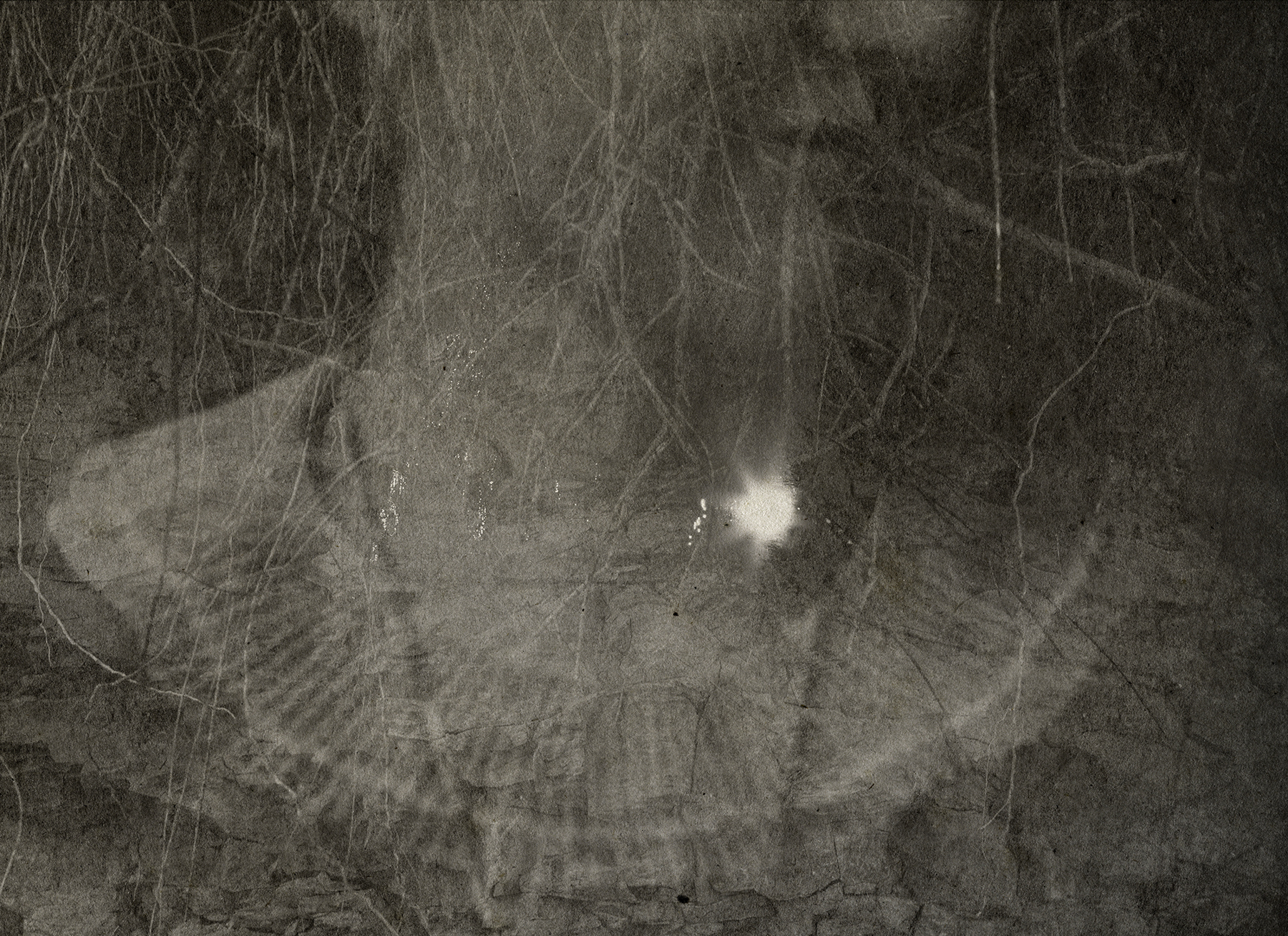 Les Voix-Calo Alessandra-004