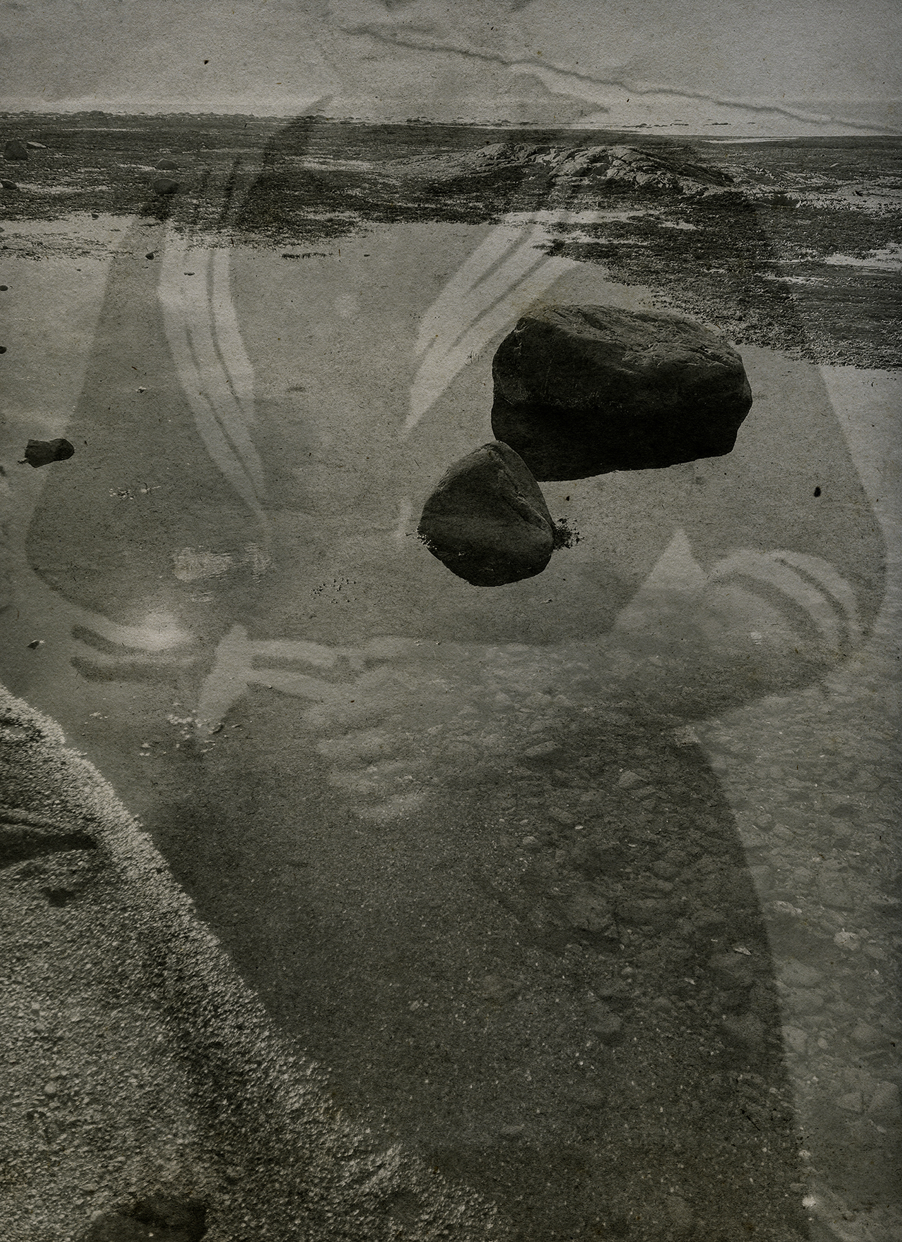 Les Voix-Calo Alessandra-007