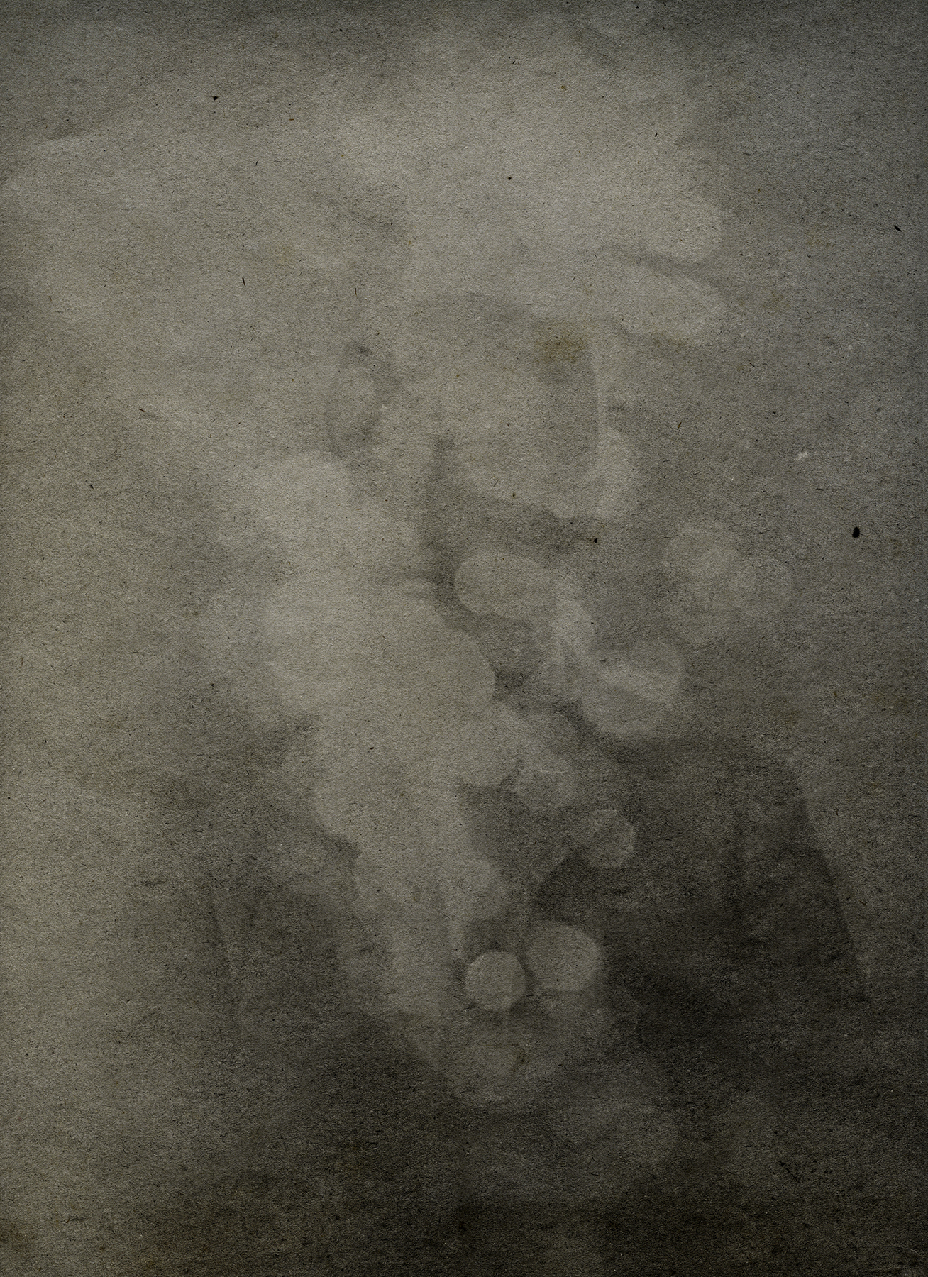 Les Voix-Calo Alessandra-011